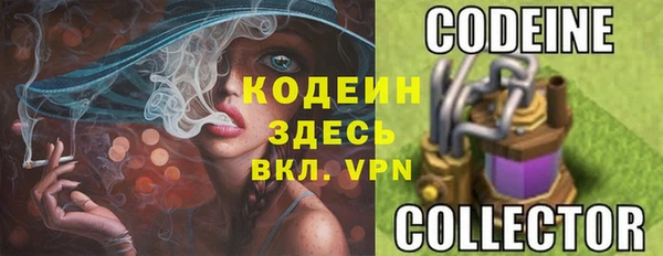 прущие грибы Алагир