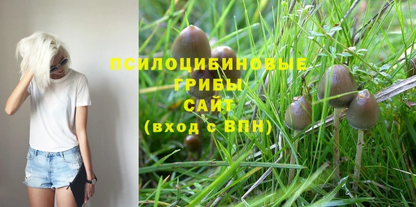 мяу мяу кристалл Кинешма