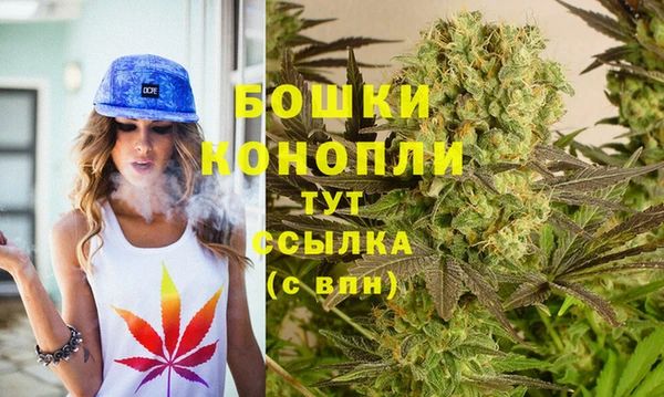 спиды Анива
