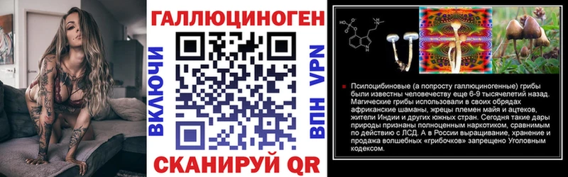 Галлюциногенные грибы Psilocybe  Невельск 