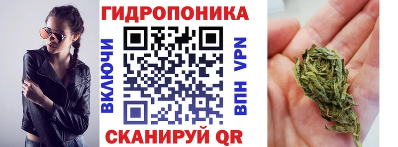 Канабис планчик  купить  цена  Невельск 